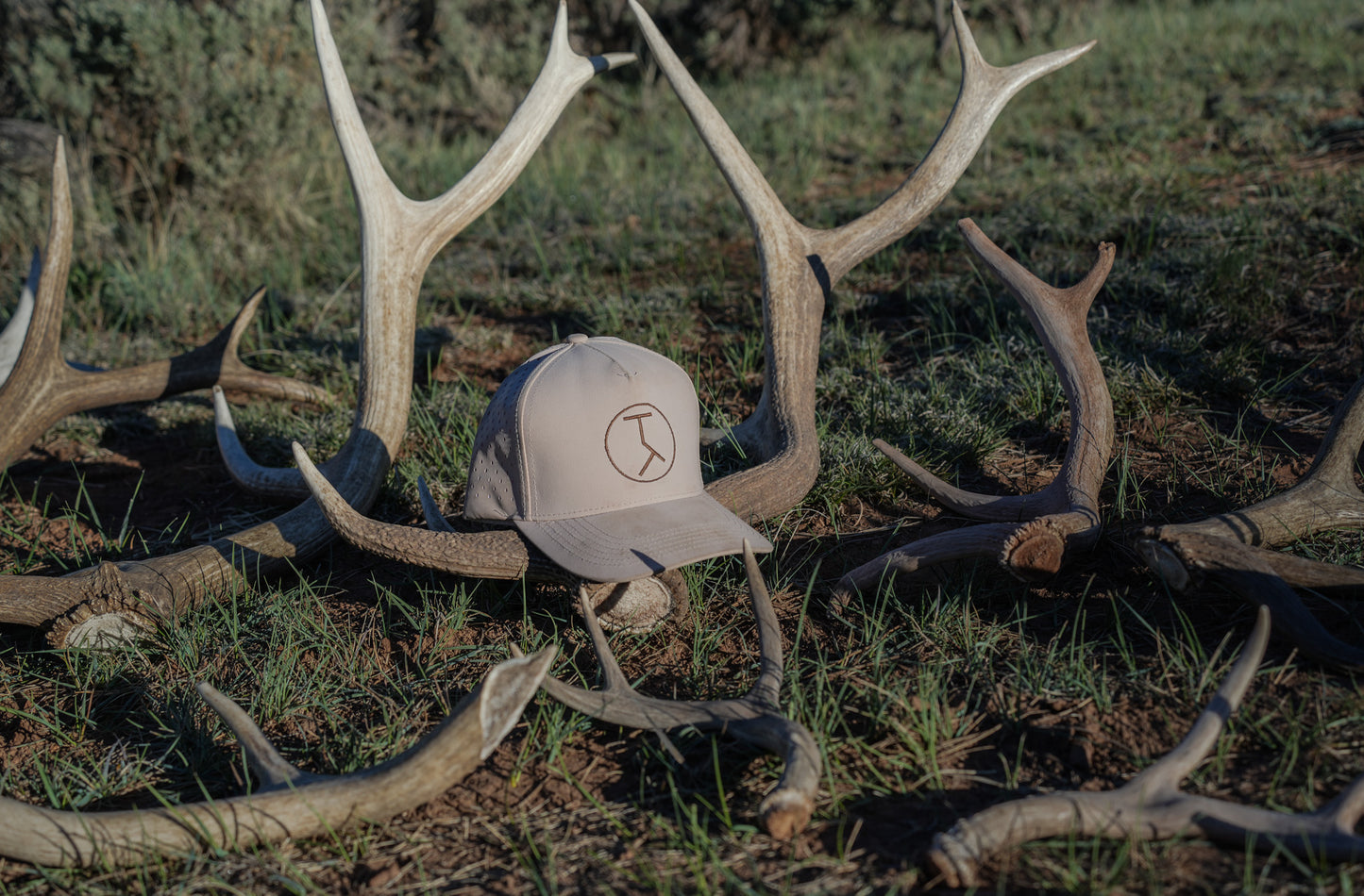 Performance Logo Hat - Tan